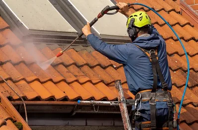 Démoussage et hydrofuge de toiture à Caubous